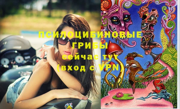 ПСИЛОЦИБИНОВЫЕ ГРИБЫ Армянск