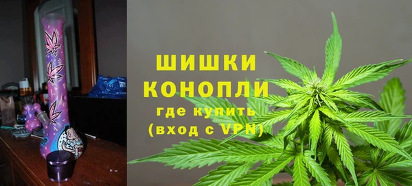 ПСИЛОЦИБИНОВЫЕ ГРИБЫ Арсеньев